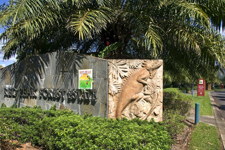Red Peak Forest Estate entrance sign in granite with a carved lizard, surrounded by palms and flowers