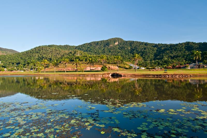 Lily-covered lake at Red Peak Forest Estate with Red Peak Mountain behind